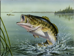 Chalo Nitka Moore Haven Florida Bass Tournament